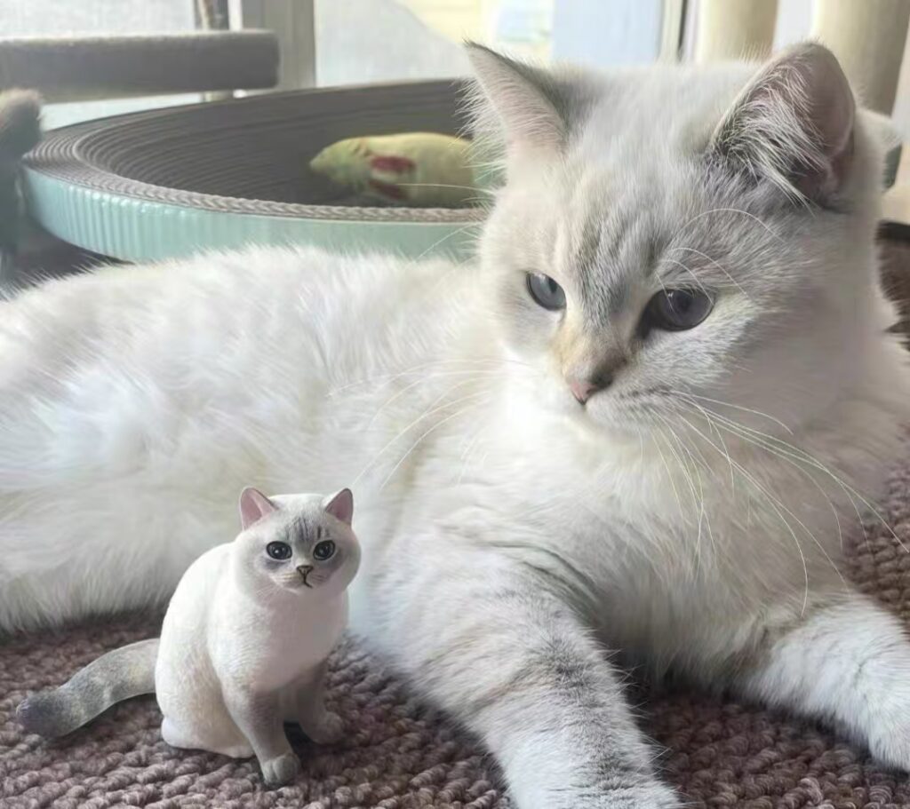 Pet story