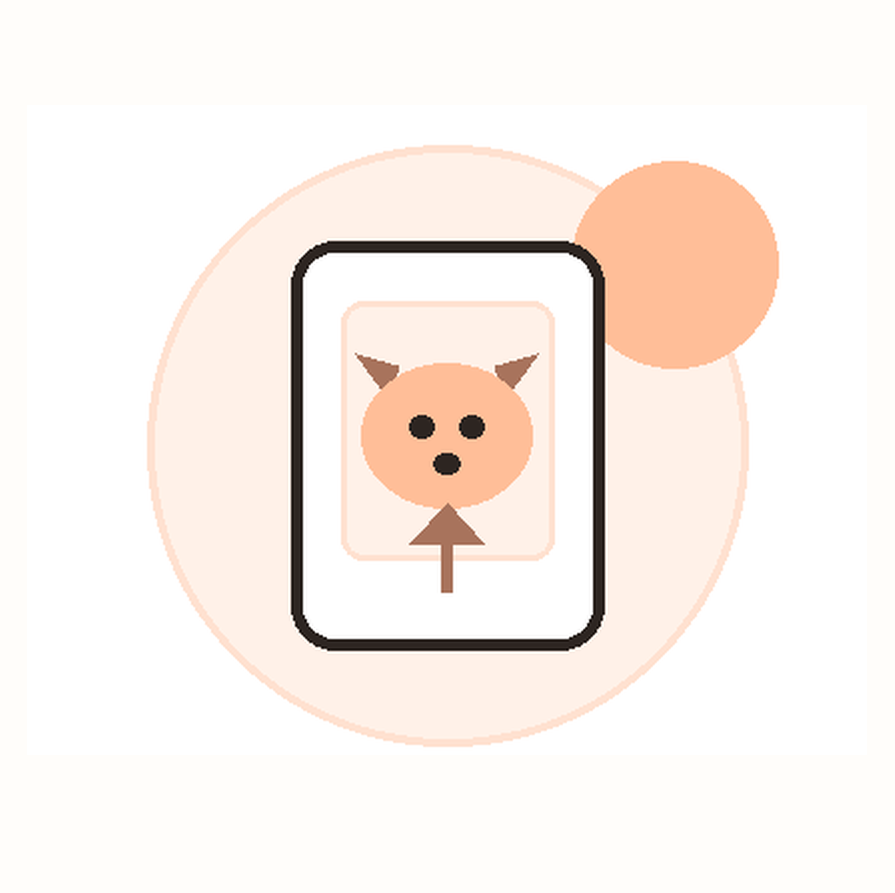 01 upload pet photo icon