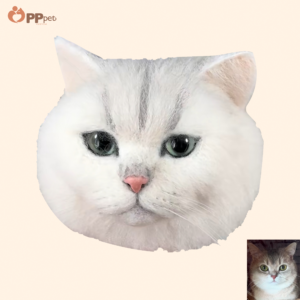 custom 3d wool felt pet portrait