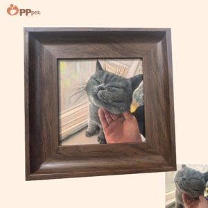 custom hand painted pet oil portrait