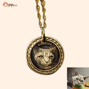 custom pet relief memorial coin
