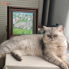 custom hand painted pet oil portrait