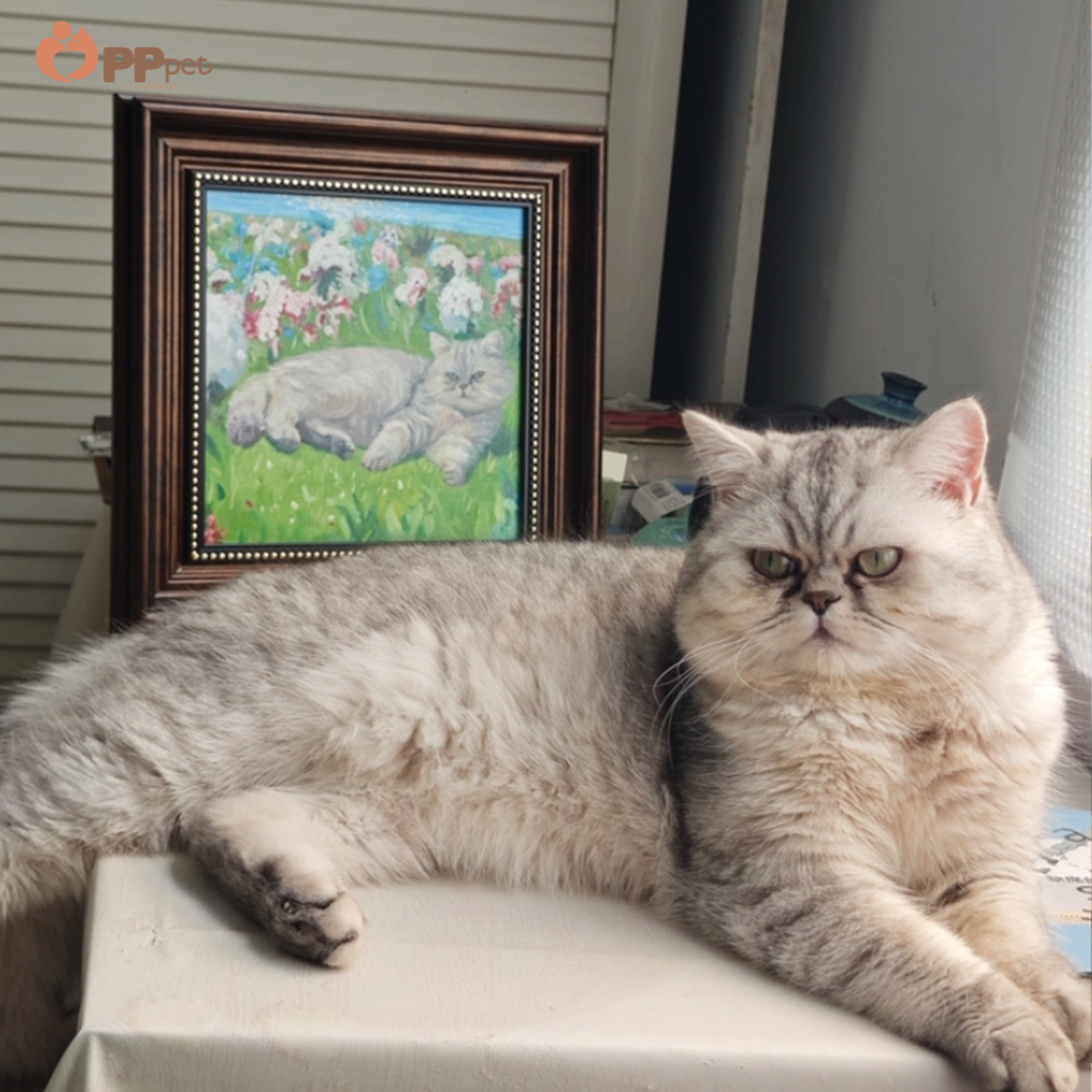custom hand painted pet oil portrait