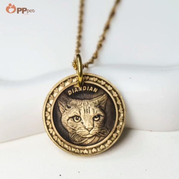 custom pet relief memorial coin