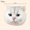 custom 3d wool felt pet portrait