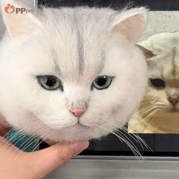 custom 3d wool felt pet portrait