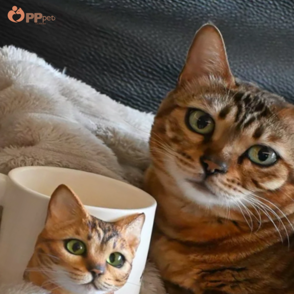 custom 3d pet figure ceramic mug