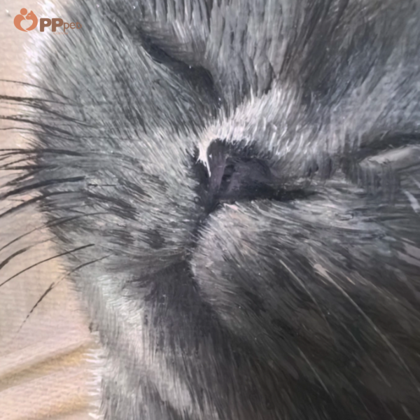 custom hand painted pet oil portrait