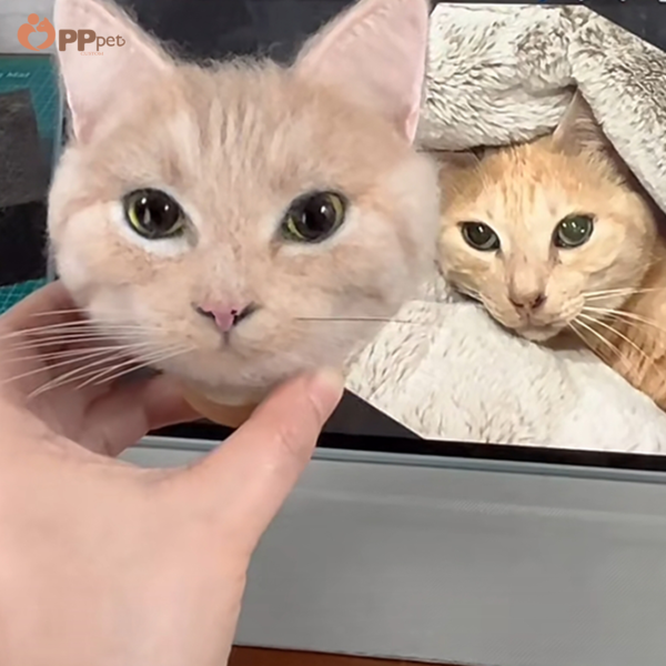custom 3d wool felt pet portrait