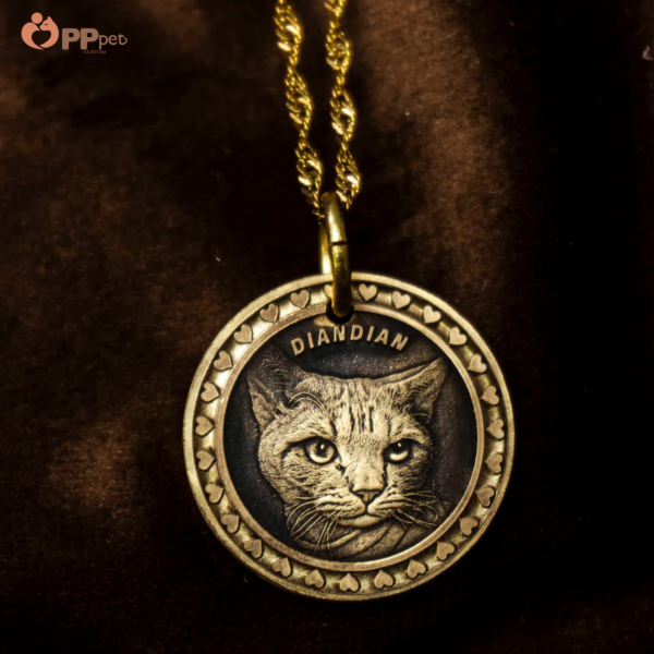 custom pet relief memorial coin