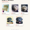custom hand carved leather pet portrait tag