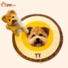 custom sherpa fleece pet blanket