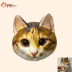 custom hand painted 3d pet head fridge magnet