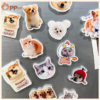 custom acrylic bobble pet display (复制)