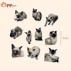 custom pet photo sticker set 20 stickers include a storage box