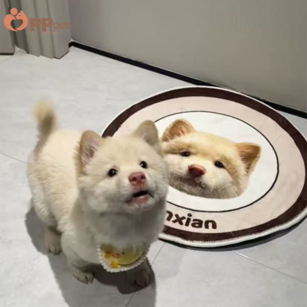 custom sherpa fleece pet blanket