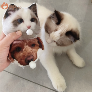 custom bubble blowing pet plush keychain