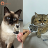 custom pet photo sticker set 20 stickers include a storage box