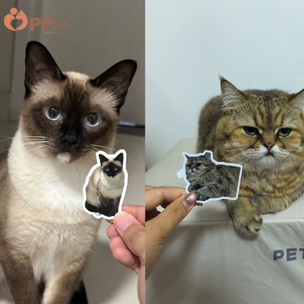 custom pet photo sticker set 20 stickers include a storage box