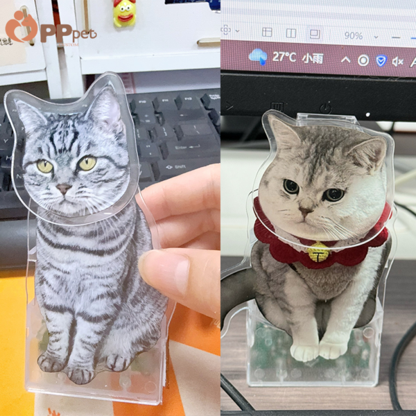 custom acrylic bobble pet display