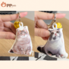 custom pet plush bell keychain