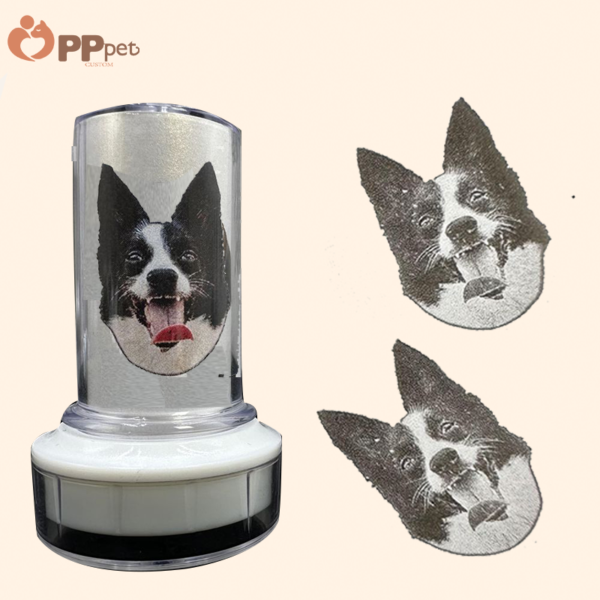 custom black & white pet portrait stamp