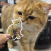 custom pet photo sticker set 20 stickers include a storage box