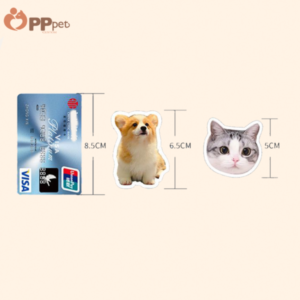custom acrylic bobble pet display (复制)