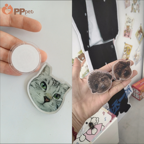custom acrylic pet phone grip – set of 2