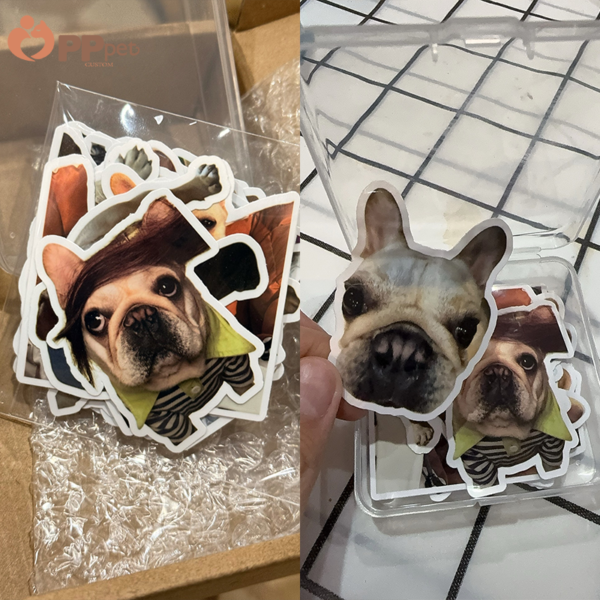 custom pet photo sticker set 20 stickers include a storage box