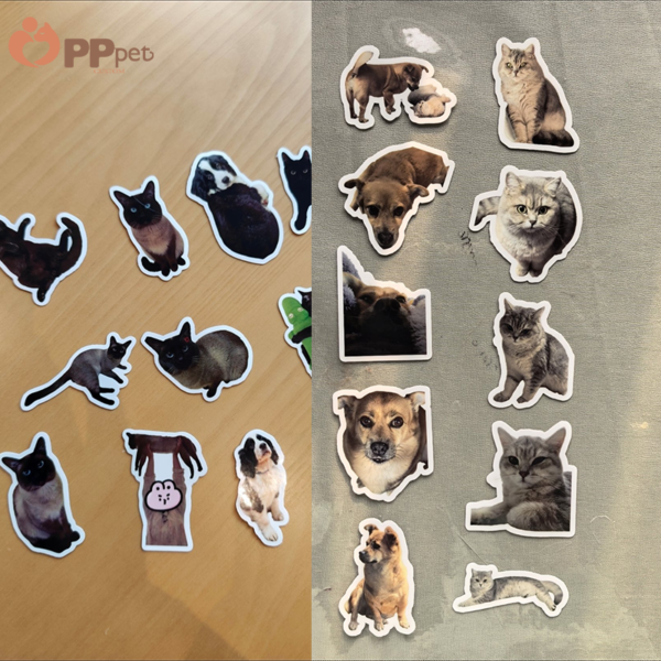 custom pet photo sticker set 20 stickers include a storage box