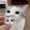 custom hand painted 3d pet head fridge magnet