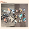 custom acrylic bobble pet display (复制)