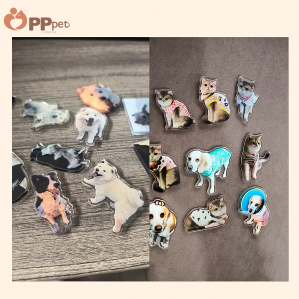custom acrylic bobble pet display (复制)